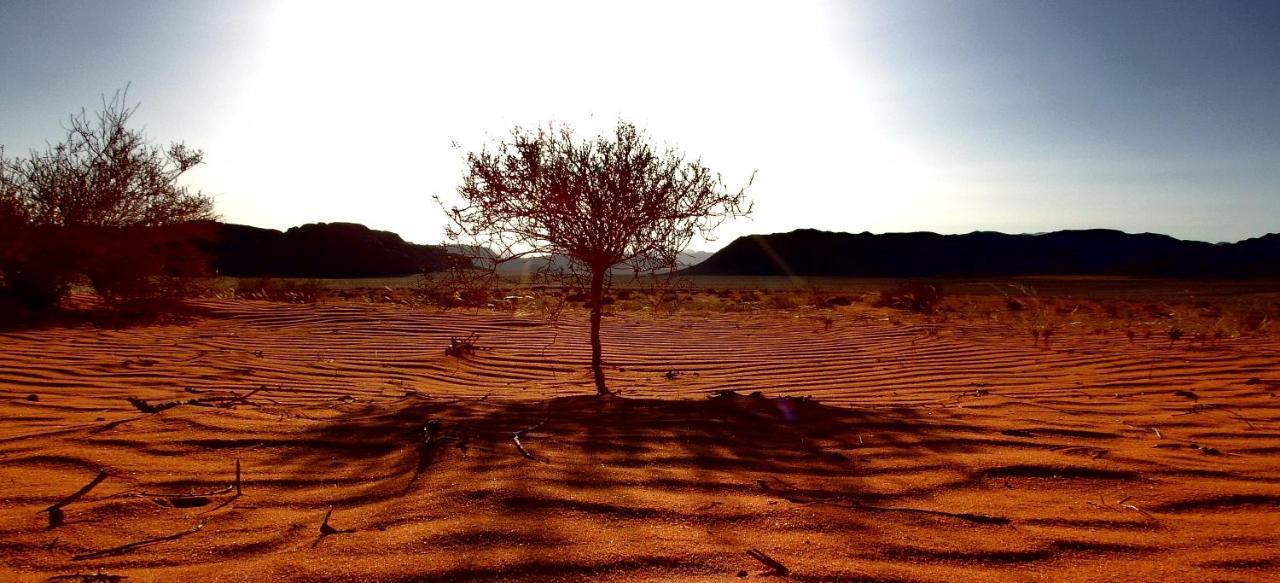 Rumshines Camp Wadi Rum Eksteriør billede