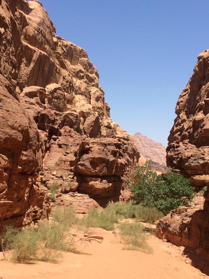 Rumshines Camp Wadi Rum Eksteriør billede