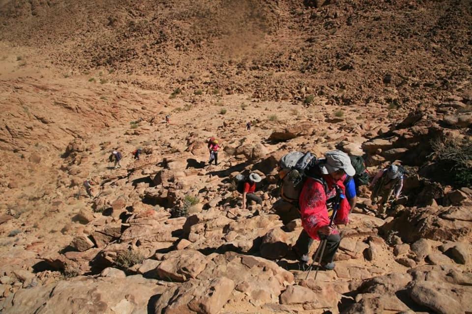 Rumshines Camp Wadi Rum Eksteriør billede